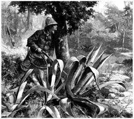 Hunting in Central America - 19th century - obrazy, fototapety, plakaty