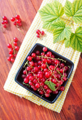 red currant