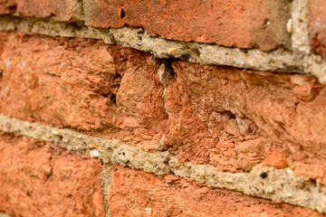Decaying brick wall