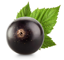 black currant