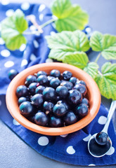 black currant