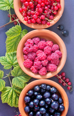 berries