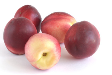nectarine isolated white background