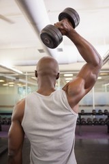 Muscular man exercising with dumbbell in gym