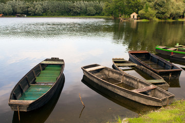 Fishing boats