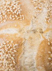 Sesame Bun (close-up shot)