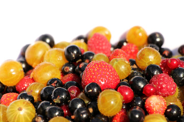 Weltmeister Beeren