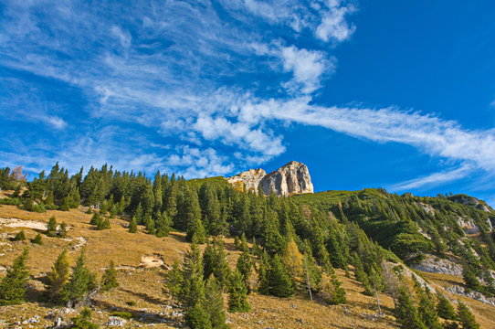 Bergwald an den Dalfazer W&auml;nden, Rofan, Tirol