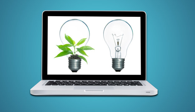 Computer laptop and plant growing inside light bulb isolate