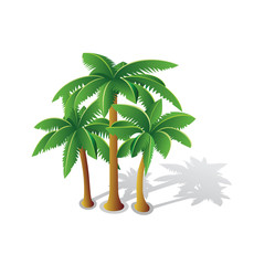 Obraz premium Tropical palms
