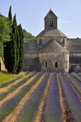 Senanque abbey