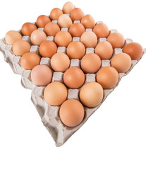 Chicken eggs in egg carton