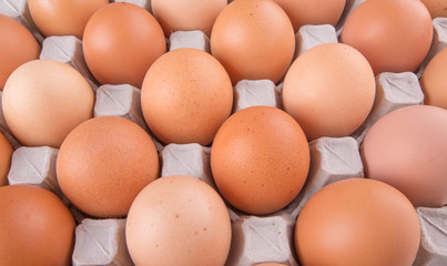 Chicken eggs in egg carton