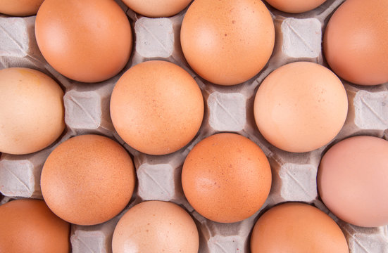 Chicken eggs in egg carton