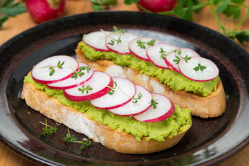 toasted ciabatta with pate of avocado and fresh radish on plate