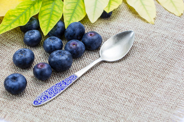 Fresh ripe blueberries with leaves,spoon on linen cloth