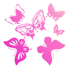 butterflies design