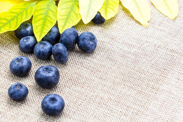 Fresh ripe blueberries with leaves on linen cloth
