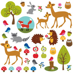 Woodland Animals Clipart