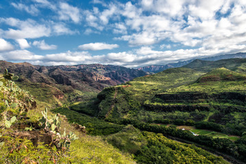 Waimea, the Grand Canyon of the Pacific