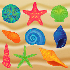 Vector Collection of Shells