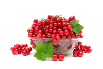 ripe juicy red currants on a white background