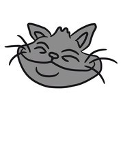 Alter asiatischer Katzen Opa Kater