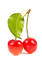 Two sweet cherry