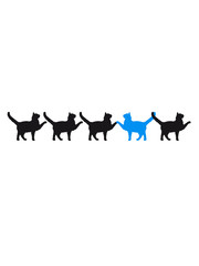 5 marschierende stolzierende Katzen Be Different