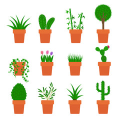 vector set of plants in pots