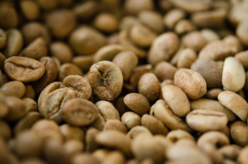 coffee bean