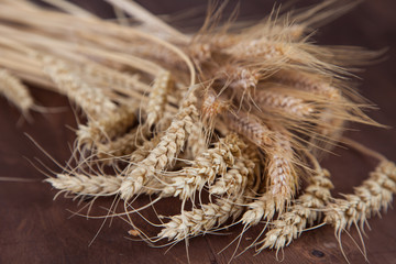 Stalks of wheat and rye