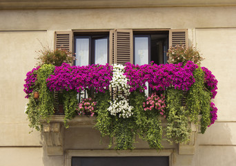 Fototapeta na wymiar balcony decorated with flowers petunias