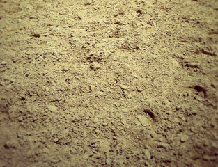 Dry Soil