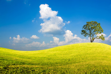 landscape background