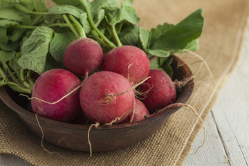 Bunch of fresh radish