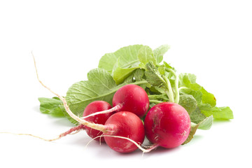 Bunch of fresh radish siolated on white