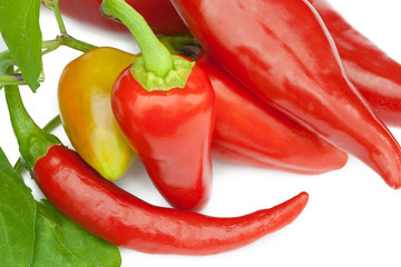 Fresh chilli peppers