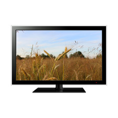 lcd tv with wheat field in the screen