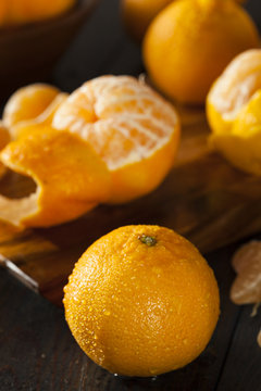 Fresh Raw Organic Mandarin Oranges
