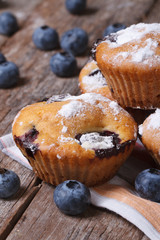 Delicious blueberry cupcakes closeup vertical