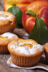 muffin with peach and powdered sugar vertical