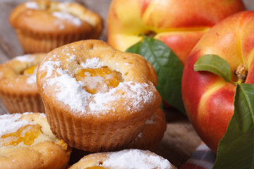 Naklejka na ściany i meble delicious cupcakes with peach sprinkled with powdered sugar