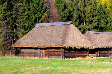 Fototapeta na wymiar traditional ukrainian wooden house