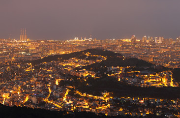 Fototapeta na wymiar Barcelona skyline at night