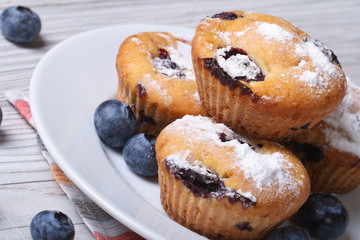 Blueberry muffins on a white plate closeup horizontal