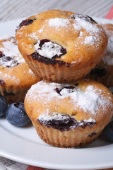 cupcakes with blueberries on white plate  vertical