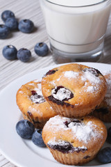 Blueberry muffins on a white plate and milk closeup vertical