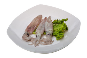 Raw calamari