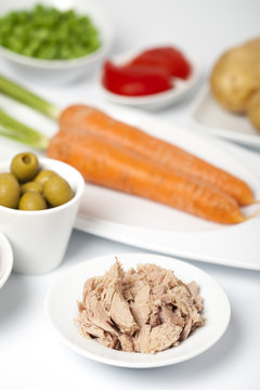 Ingredients for typical ensaladilla